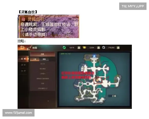 御龙在天紫装攻略全面解析提升装备实力的最佳路径 御龙在天紫装攻略全面解析提升装备实力的最佳路径