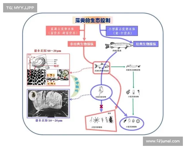 卷帘绿魔的生态奥秘与其独特适应机制的深度剖析 卷帘绿魔的生态奥秘与其独特适应机制的深度剖析