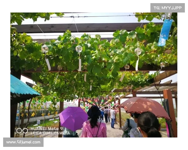 工会等级飞升全攻略：轻松提升工会等级的终极技巧与秘诀